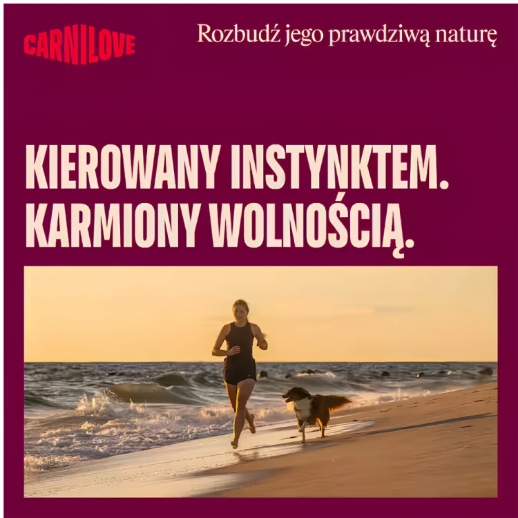 Multipack Dog POUCH Paté carnilove.png