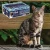 Brit Premium Cat Value Pack 48x85g Karma mokra dla Kota Sterilised