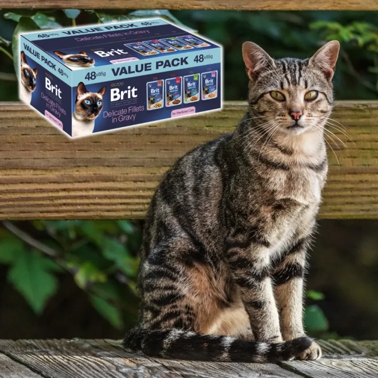 Brit Premium Cat Value Pack 48x85g Karma mokra dla Kota Sterilised