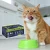 Brit Premium Cat Value Pack 40x100g Mokra karma dla kota