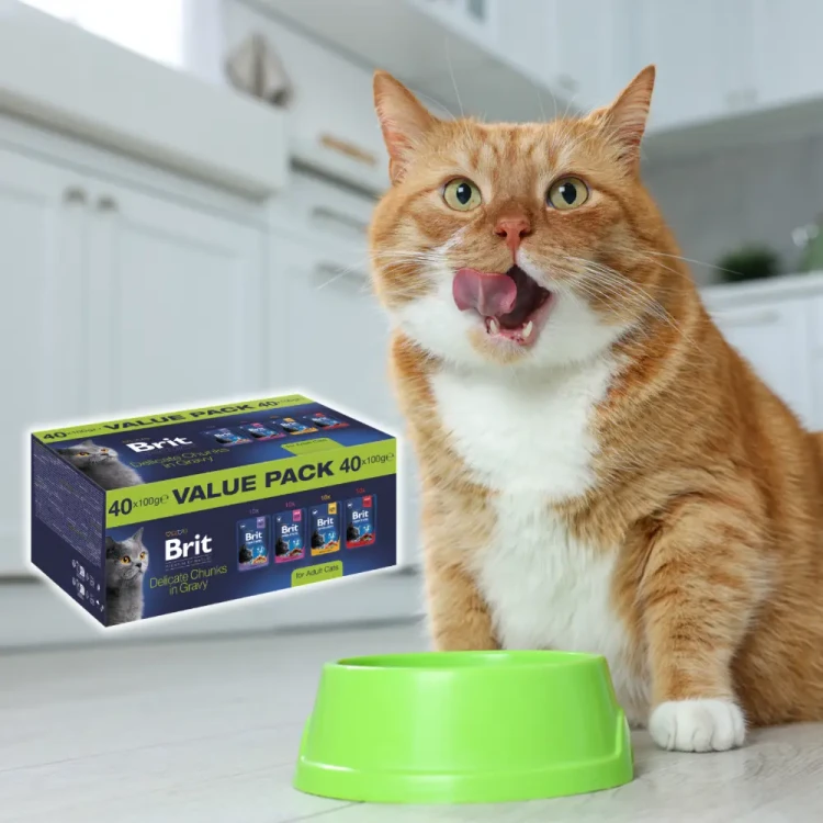 Brit Premium Cat Value Pack 40x100g Mokra karma dla kota