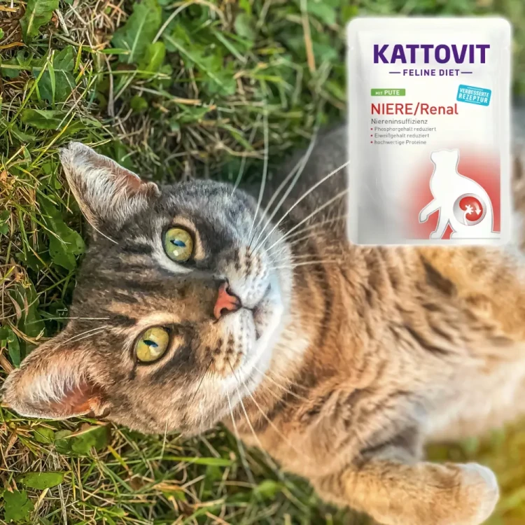 Kattovit Renal Indyk 85g Mokra karma dla kota nerki niewydolność