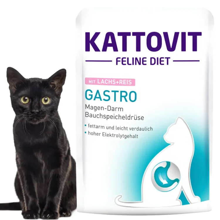 Kattovit Gastro Łosoś 6x85g Mokra karma dla kota żołądek jelita
