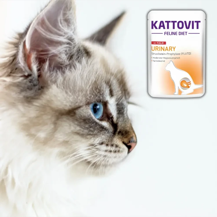 Kattovit Urinary Cielęcina 85g Mokra karma dla kota drogi moczowe