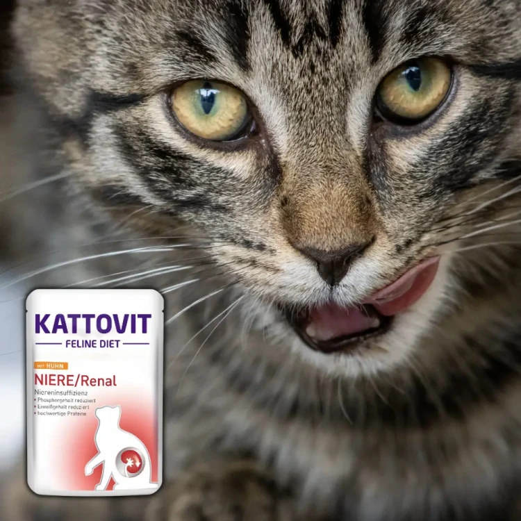 Kattovit Renal Kurczak 85g Mokra karma dla kota nerki niewydolność