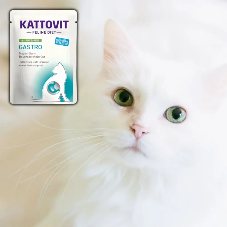 Kattovit Gastro Indyk z Ryżem 85g Mokra karma dla kota żołądek jelita