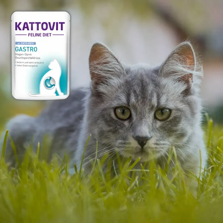 Kattovit Gastro Kaczka z Ryżem 85g Mokra karma dla kota żołądek jelita