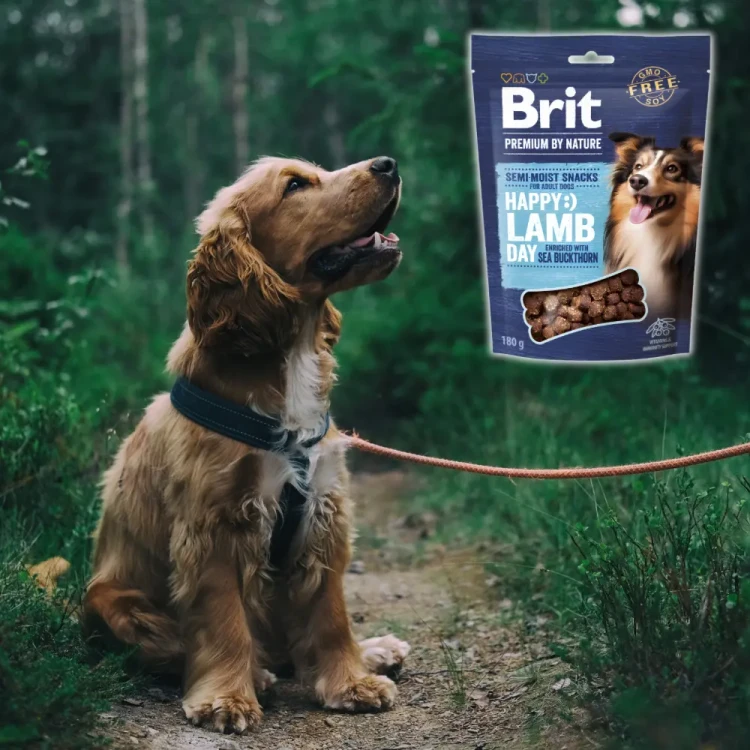 Brit Premium by Nature Lamb with Seabuckthorn 180g Przysmaki dla psów z jagnięciną