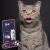 Brit Premium Cat Creamy Treats Beef 6x15g Sosy przysmaki dla kota wołowina