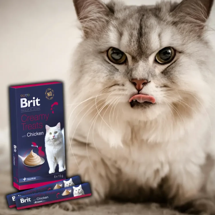 Brit Premium Cat Creamy Treats Chicken 6x15g Sosy przysmaki dla kota kurczak