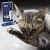 Brit Premium Cat Creamy Treats Liver 6x15g Sosy przysmaki dla kota wątróbka