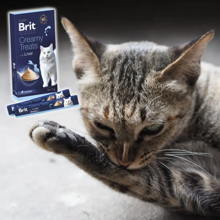 Brit Premium Cat Creamy Treats Liver 6x15g Sosy przysmaki dla kota wątróbka