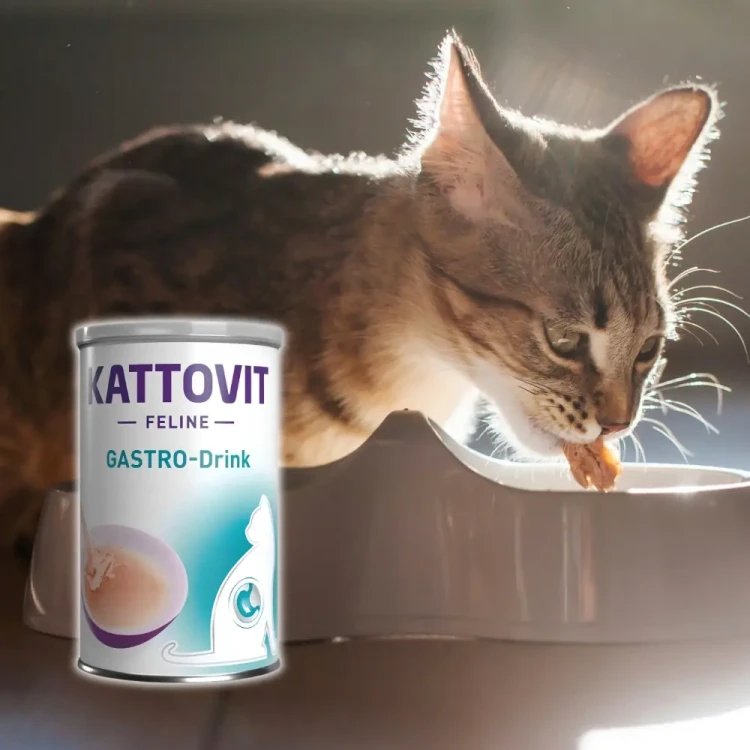 Kattovit Drink Gastro 135ml Napój dla kota na czuły żołądek i jelita
