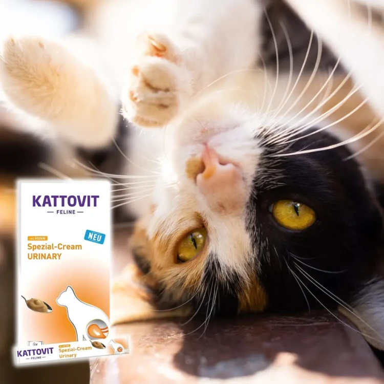 Kattovit Cream Urinary 6x15g Sos dla kota zdrowe drogi moczowe kurczak