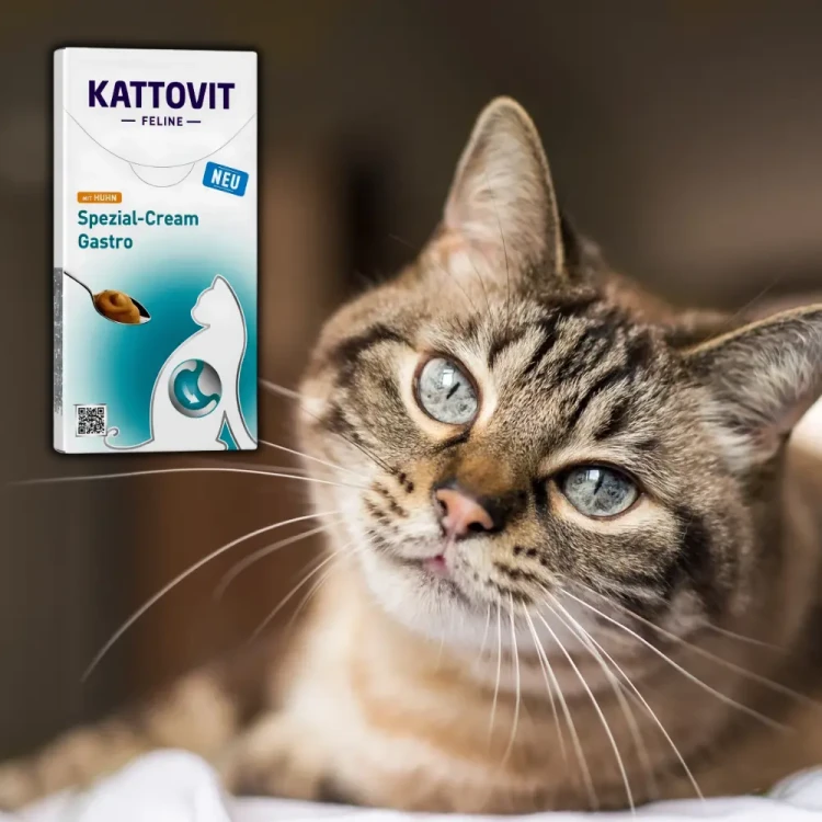 Kattovit Cream Gastro 6x15g Sos dla kota wsparcie żołądka i jelit