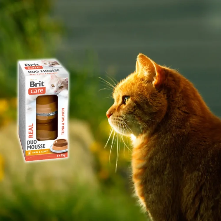 Brit Care Cat Duo Mousse Cups Tuna&Salmon 6x25g Przysmaki dla kota łosoś
