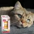 Brit Care Cat Duo Mousse Cups Chicken&Cheese 6x25g Przysmaki dla kota ser