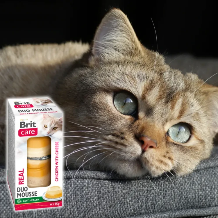 Brit Care Cat Duo Mousse Cups Chicken&Cheese 6x25g Przysmaki dla kota ser