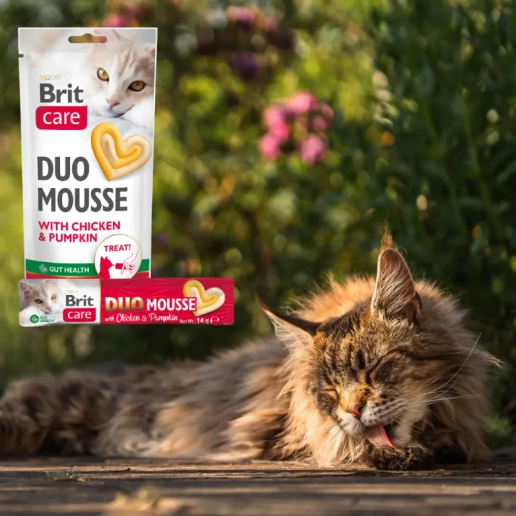 Brit Care Cat Creamy Duo Chicken&Pumpkin 4x14g Przysmaki dla kota kurczak