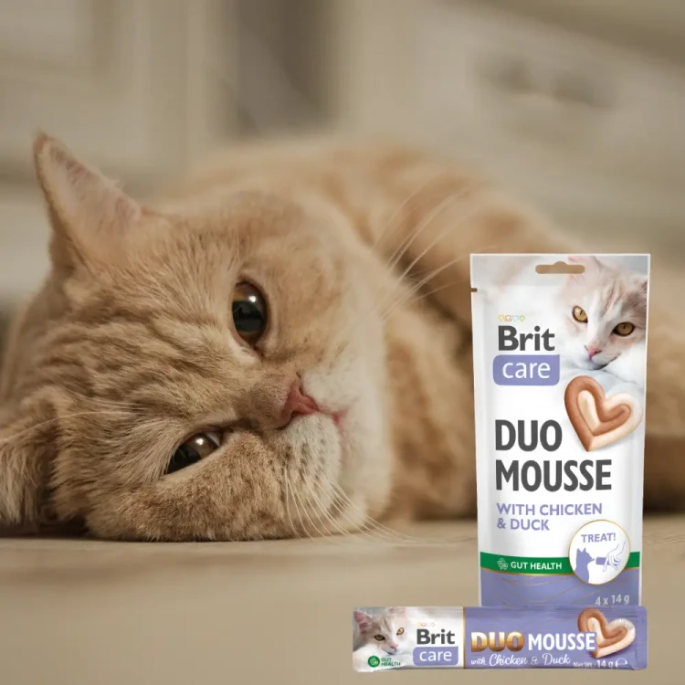 Brit Care Cat Creamy Duo Chicken&Duck 4x14g Przysmaki dla kota kaczka