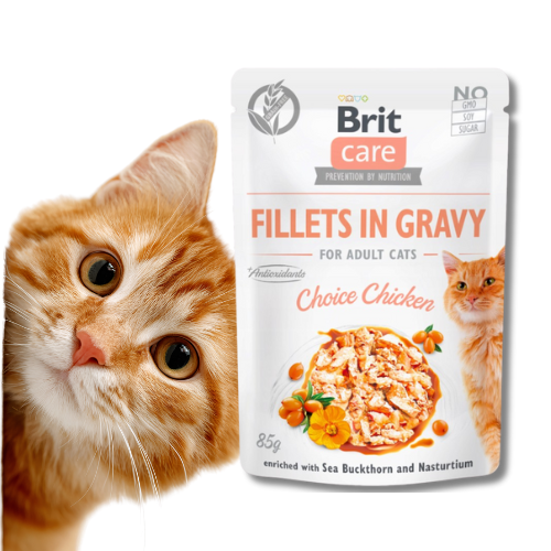 Brit Care Cat Fillets in Gravy 85g Mokra karma dla kota kurczak