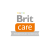 Brit Care Cat Fillets in Gravy 85g Mokra karma dla kota kurczak