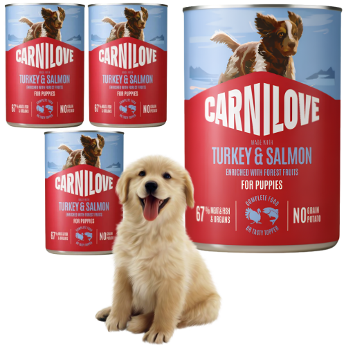 Carnilove Wild Meat Salmon&Turkey Puppies 4x400g Mokra karma dla szczeniąt