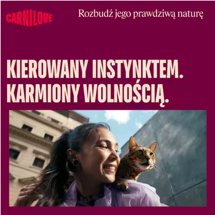 Carnilove Pouch Jelly Multipack 12x85g Zdrowa mokra karma dla kota