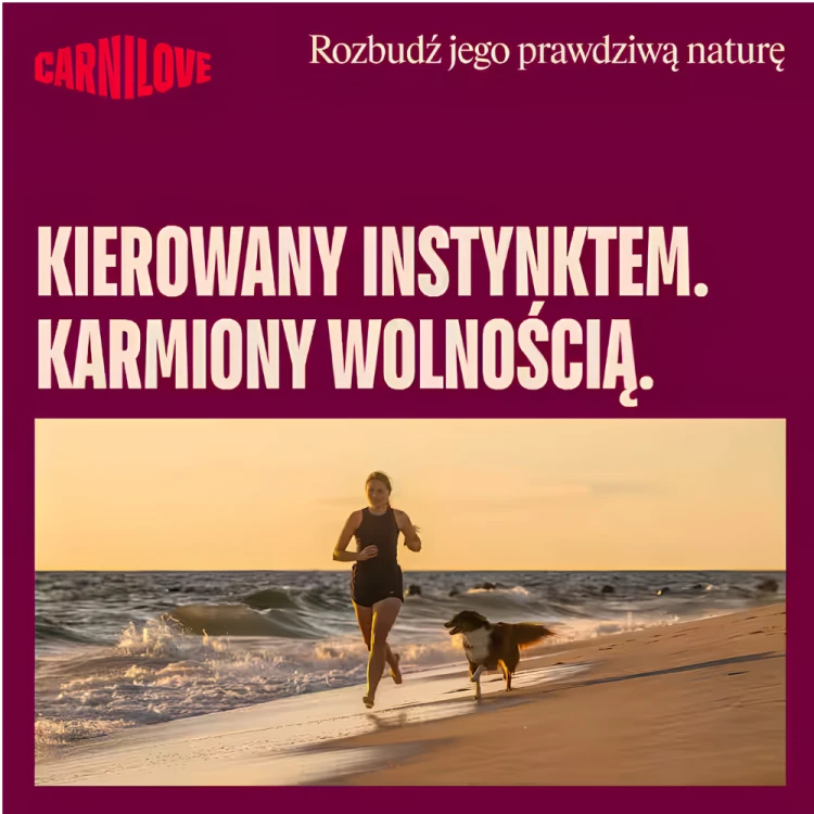 Crnilove.png