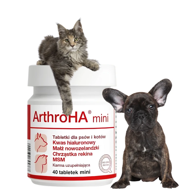 dolvit-arthroha-mini-suplement-dla-kota-psa.png