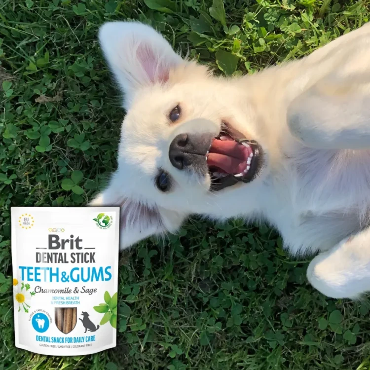Brit Dental Stick Rumianek 251g Przysmak dla psa na zęby i dziąsła