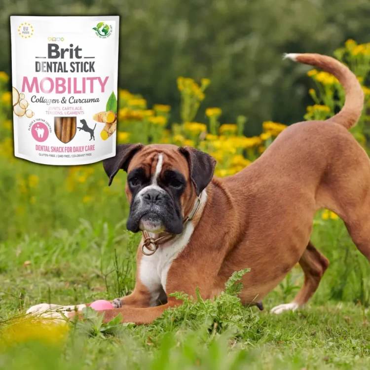 Brit Dental Stick Kolagen 7szt Przysmak dla psa z Kolagenem