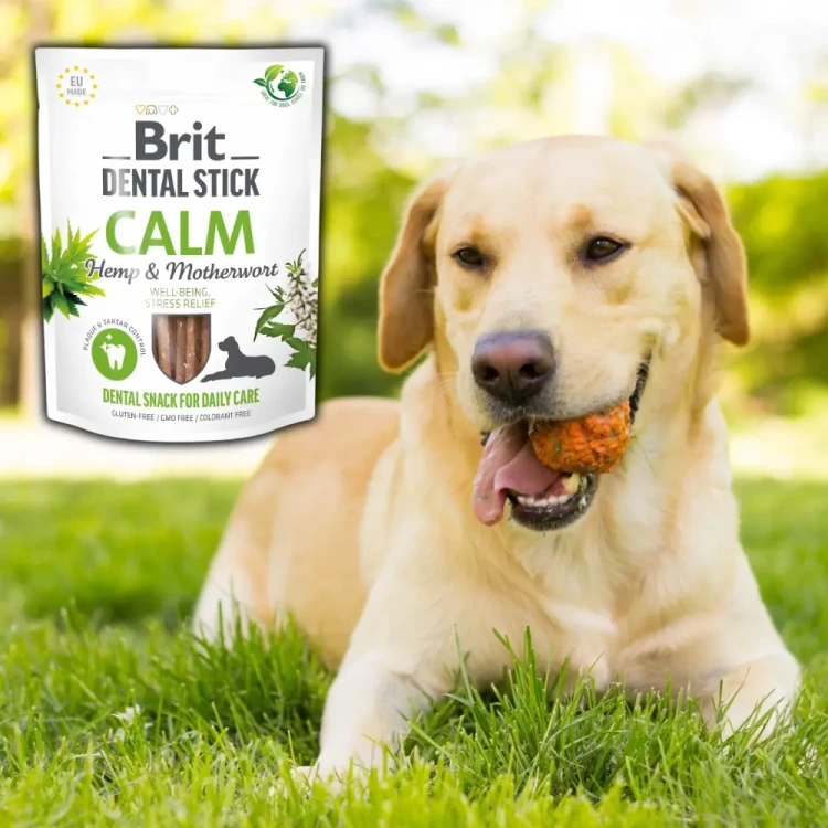 Brit Dental Stick Hemp 251g Przysmak dla psa na stres i uspokojenie