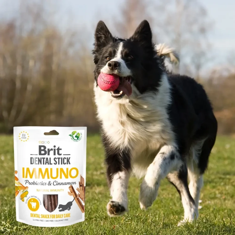 Brit Dental Stick Immuno Cynamon 251g Przysmak dla psa na odporność i zęby