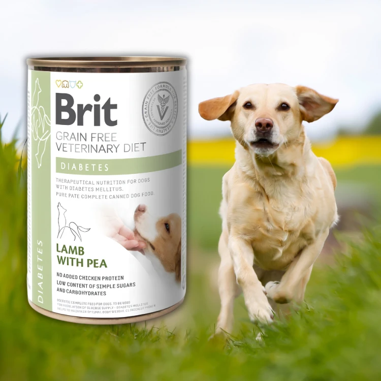 Brit Veterinary Diet Dog Diabetes Jagnięcina 400g mokra karma dla psa