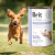 Brit Veterinary Diet Dog Gastrointestinal Łosoś 400g mokra karma dla psa