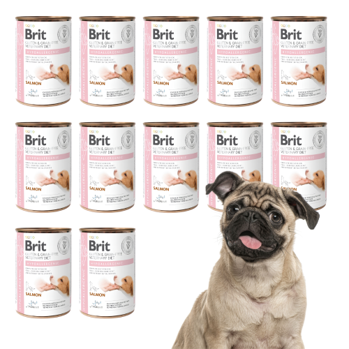 Brit Veterinary Diet Dog Hypoallergenic Łosoś 12x400g Karma weterynaryjna dla psa