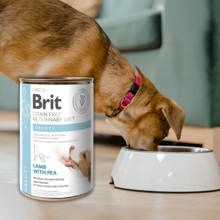 Brit Veterinary Diet Dog Obesity Jagnięcina z Groszkiem 6x400g Karma weterynaryjna dla psa
