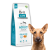 Brit Care Dog Grain Free Adult Salmon 12kg sucha karma dla psa łosoś