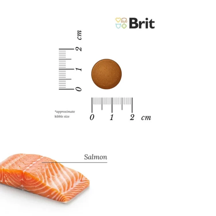 Brit Care Dog Grain Free Adult Salmon 12kg sucha karma dla psa łosoś