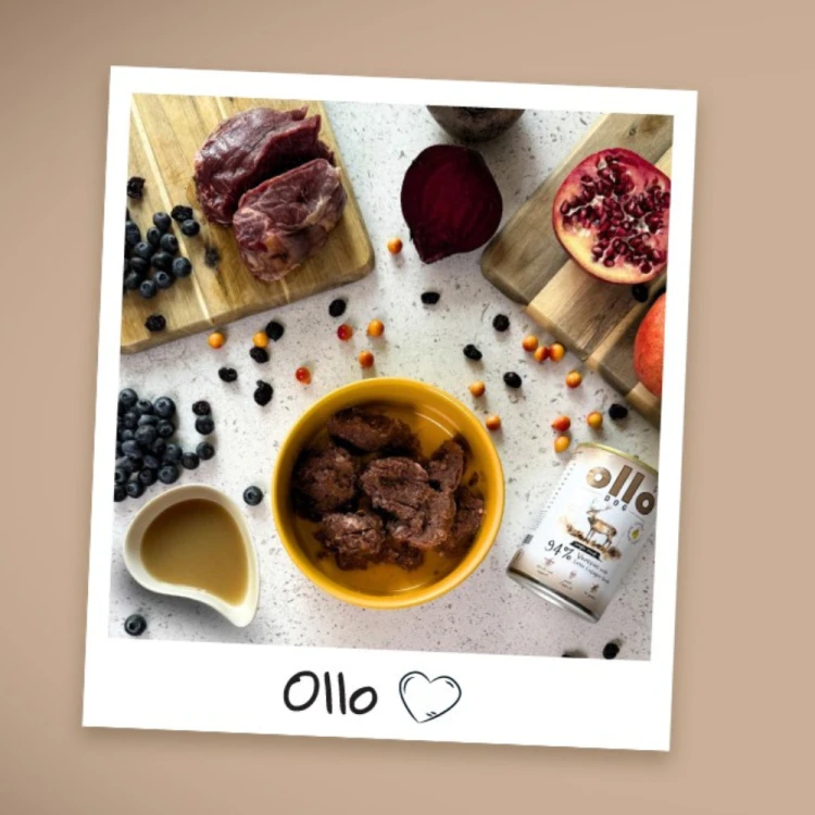 Ollo Plus Jeleń 400g Hipoalergiczna mokra karma dla psa z kolagenem