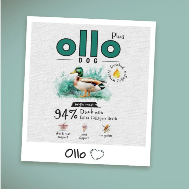Ollo Plus Kaczka 400g Hipoalergiczna mokra karma dla psa z kolagenem
