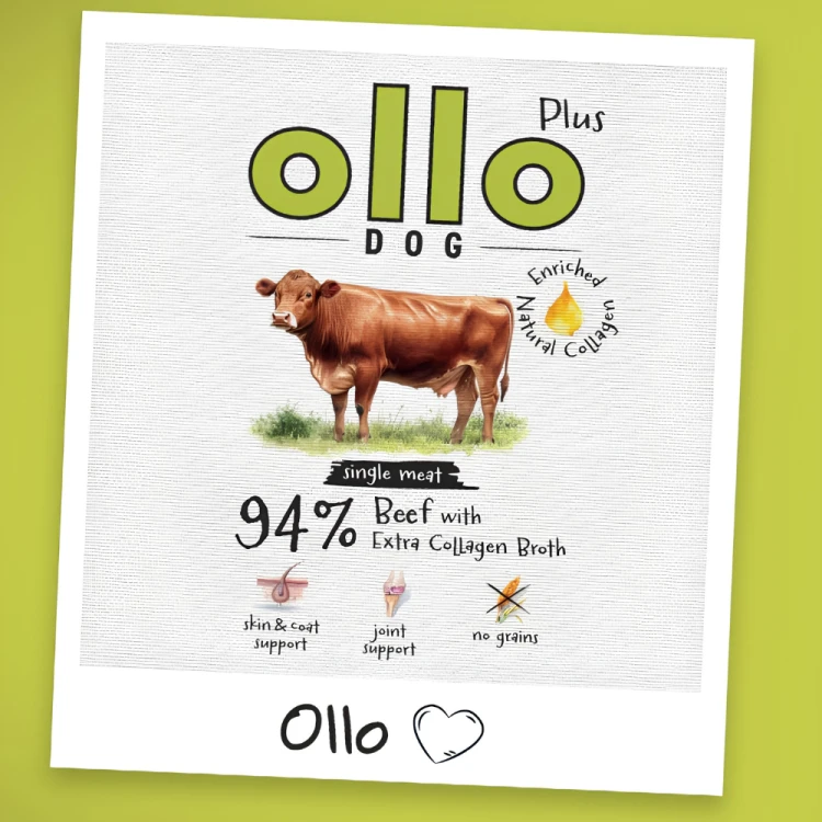 Ollo Plus Wołowina 400g Hipoalergiczna mokra karma dla psa z kolagenem