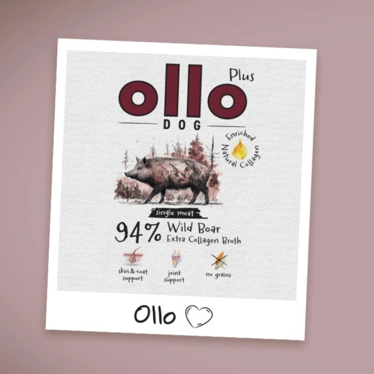 Ollo Plus Dzik 6x400g Hipoalergiczna mokra karma dla psa z kolagenem