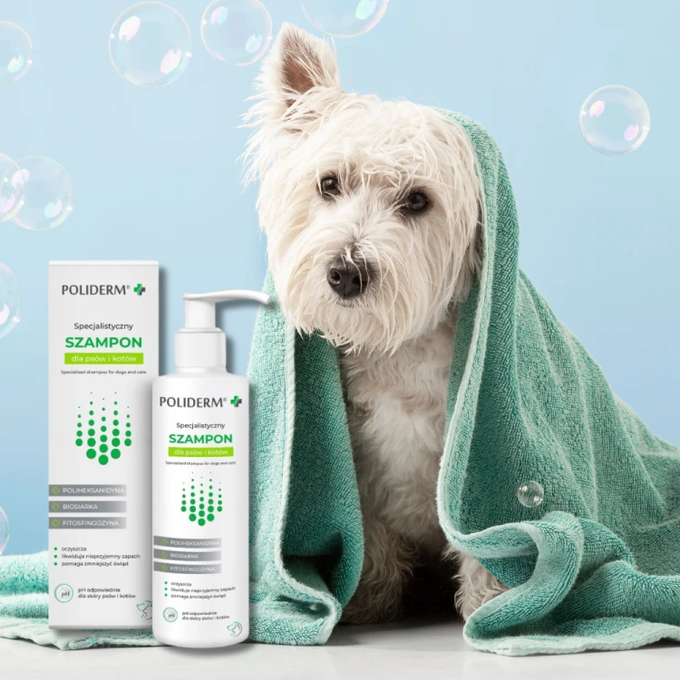 Poliderm Szampon dermatologiczny 250ml dla psa i kota - łupież, grzybica