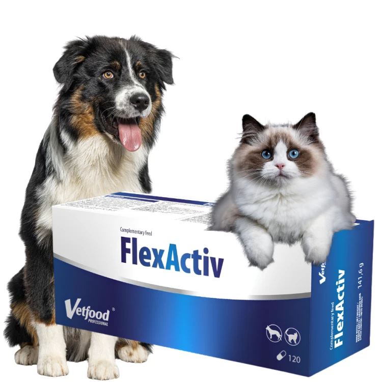 vetfood-flexactiv-120-kaps-suplement-na-stawy.png