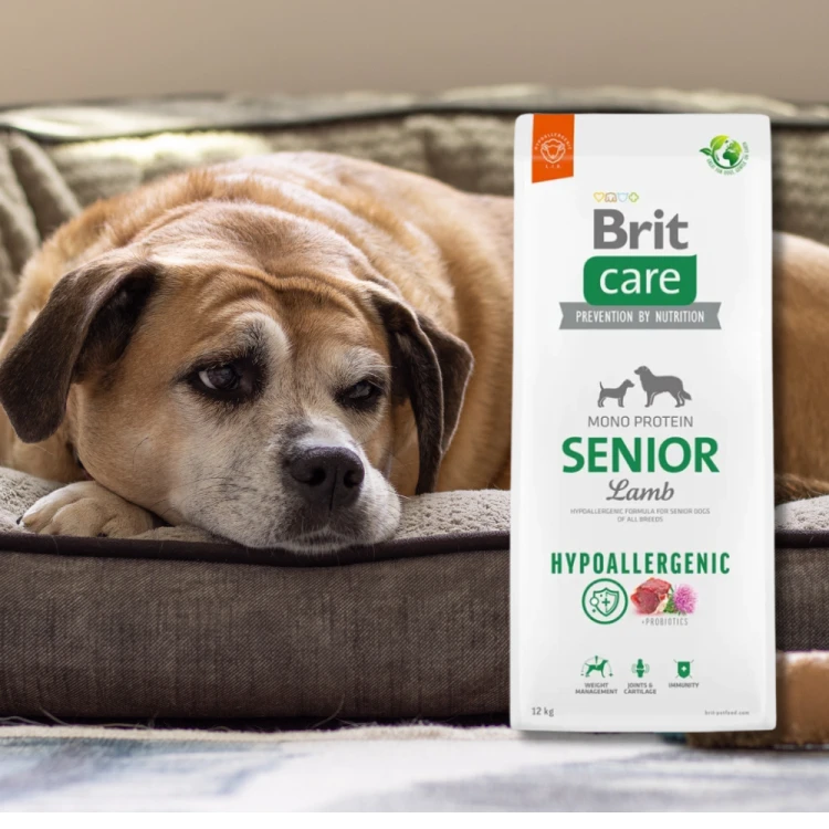 Brit Care Hypoallergenic Senior Lamb 12 kg Hipoalergiczna sucha karma dla starszych psów