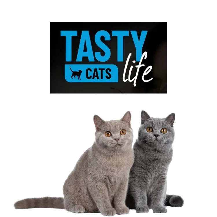 BioFeed Tasty Cats Life Hairball Łosoś 1,5 kg Karma odkłaczająca dla kota z rybą