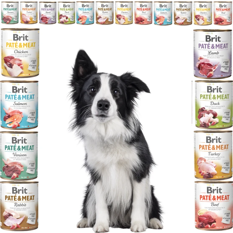 Karma mokra dla psa BRIT PATE & MEAT zestawMIX Smaku 20x800g