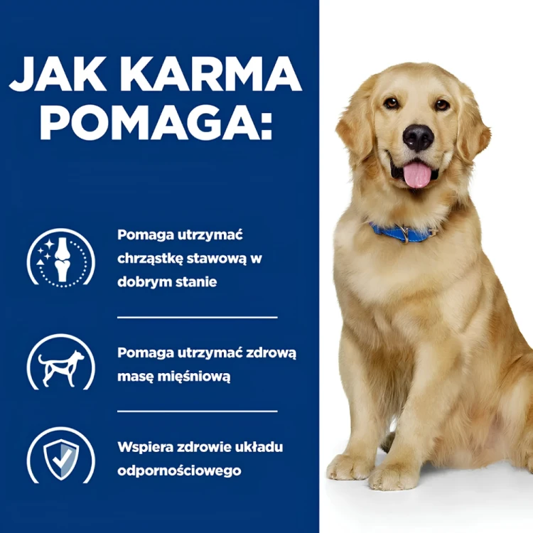 Hill's PD j/d Mobility Canine Sucha karma weterynaryjna na stawy dla psa  1,5 kg